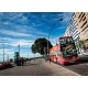 Bus turístico Santa Cruz - Citysightseeing